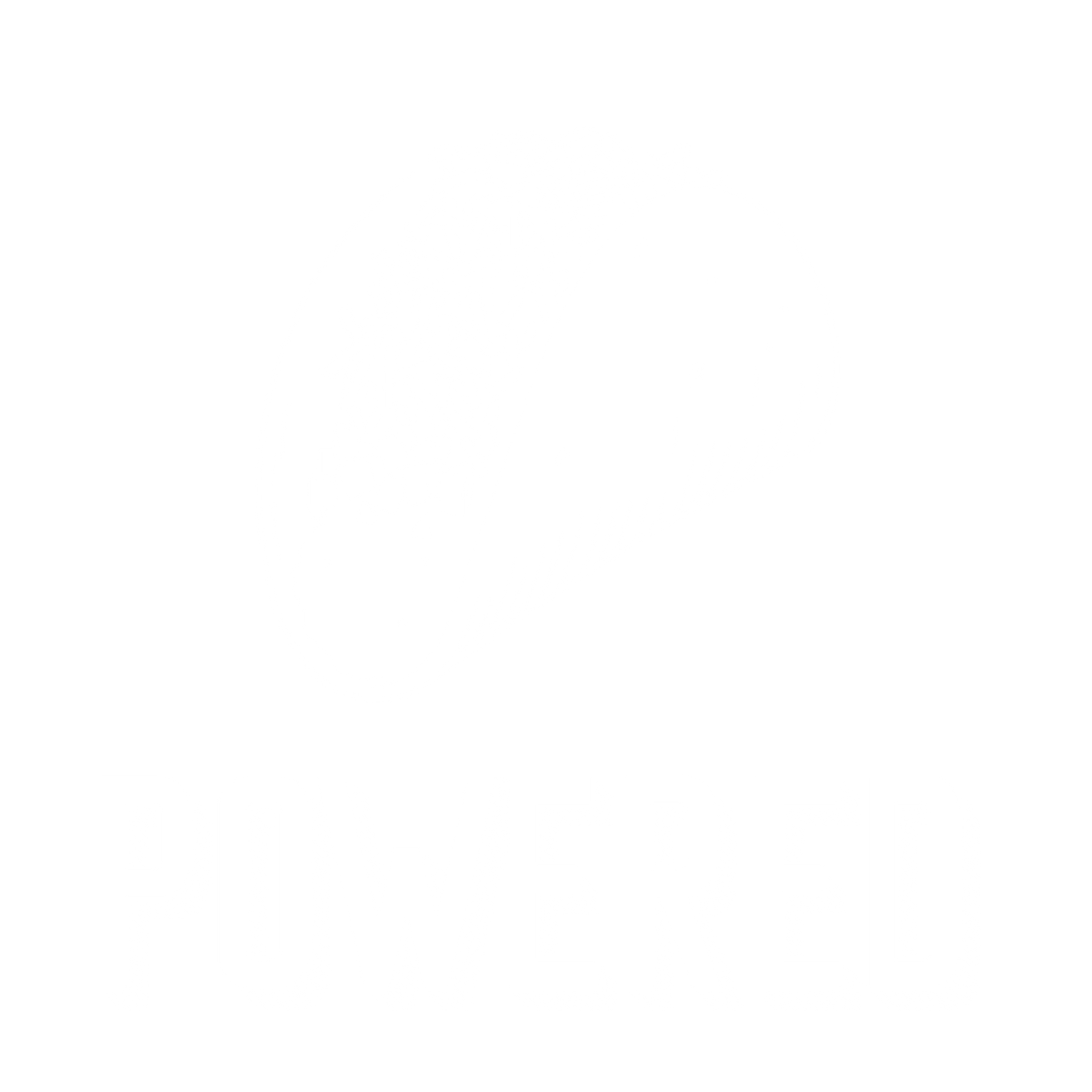 Funny T-Shirts design "Taco Powered"