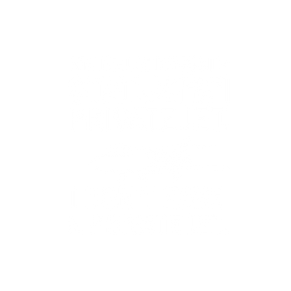 Funny T-Shirts design "My Relationship Status Is Like My Private Jet"