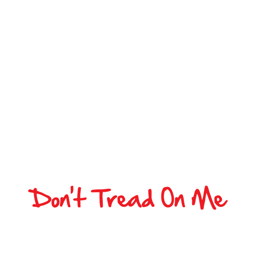 Funny T-Shirts design "The 2nd Amdendment Is My Gun Permit Don't Tread On Me"