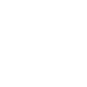 Funny T-Shirts design "Security"