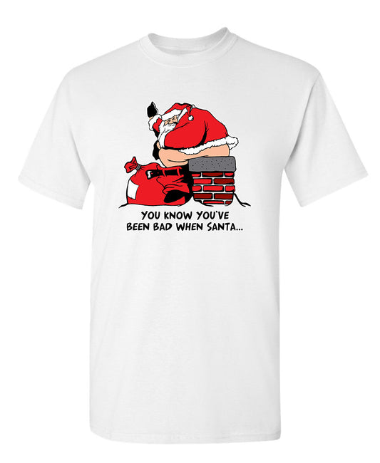 You Know You've Been Bad When Santa - Funny T Shirts & Graphic Tees