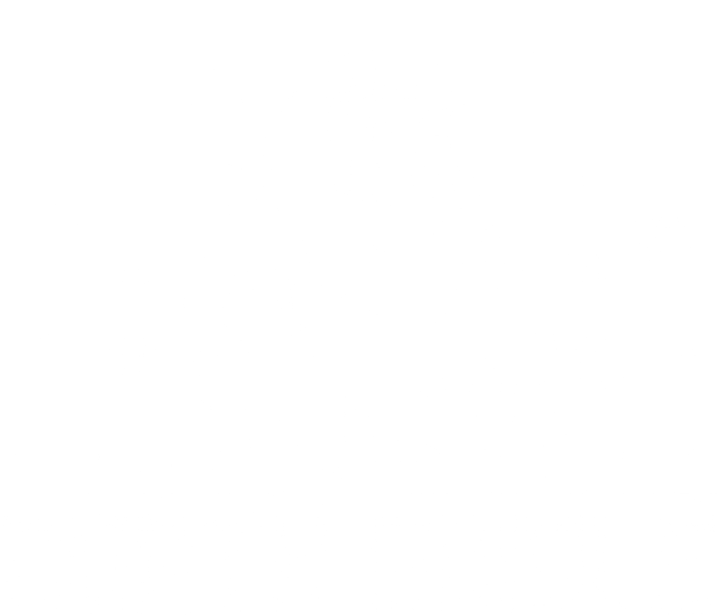North Swole Funny Shirt