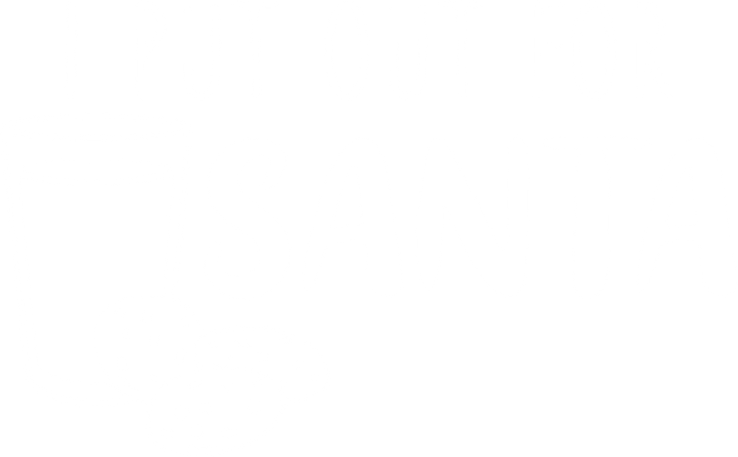 Funny T-Shirts design "I Put Out for Santa"