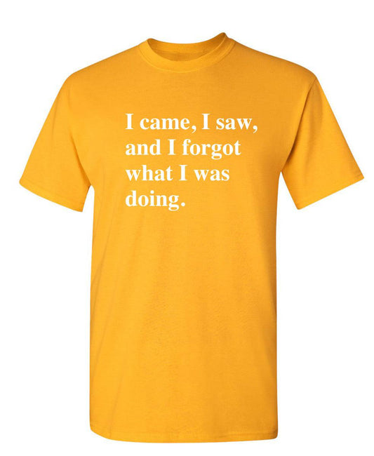 Funny T-Shirts design "I Came, I Saw, I Forgot What I Was Doing"
