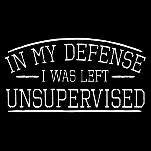 In My Defense I Was Left Unsupervised - Roadkill T Shirts