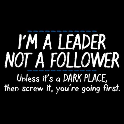 I'm A Leader Not A Follower Unless It's A Dark Place Then Screw It You're Going