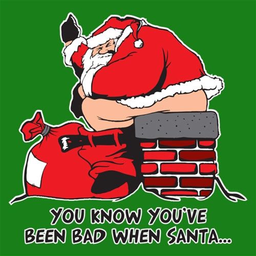 You Know You've Been Bad When Santa - Roadkill T Shirts