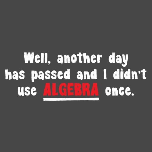 Well Another Day Has Passed And I Didn't Use Algebra Once