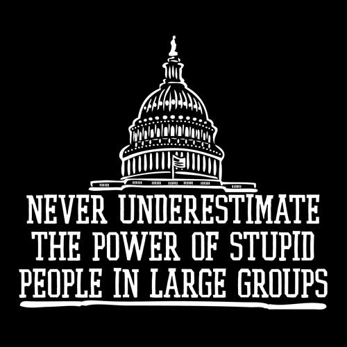 Funny T-Shirts design "Never underestimate the power of stupid people in large groups"