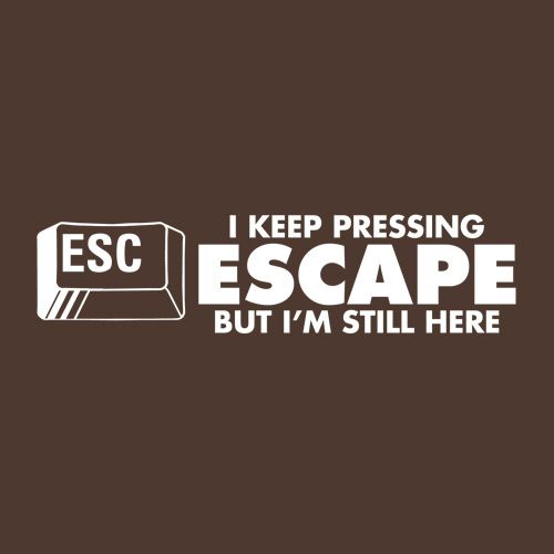 I Keep Pressing Escape But I'm Still Here - Roadkill T Shirts