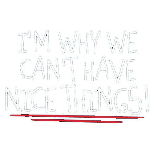 I'm Why We Can't Have Nice Things - Roadkill T Shirts