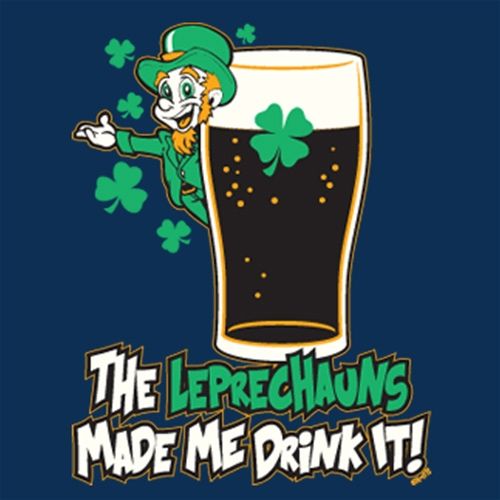 The Leprechauns Made Me Drink It